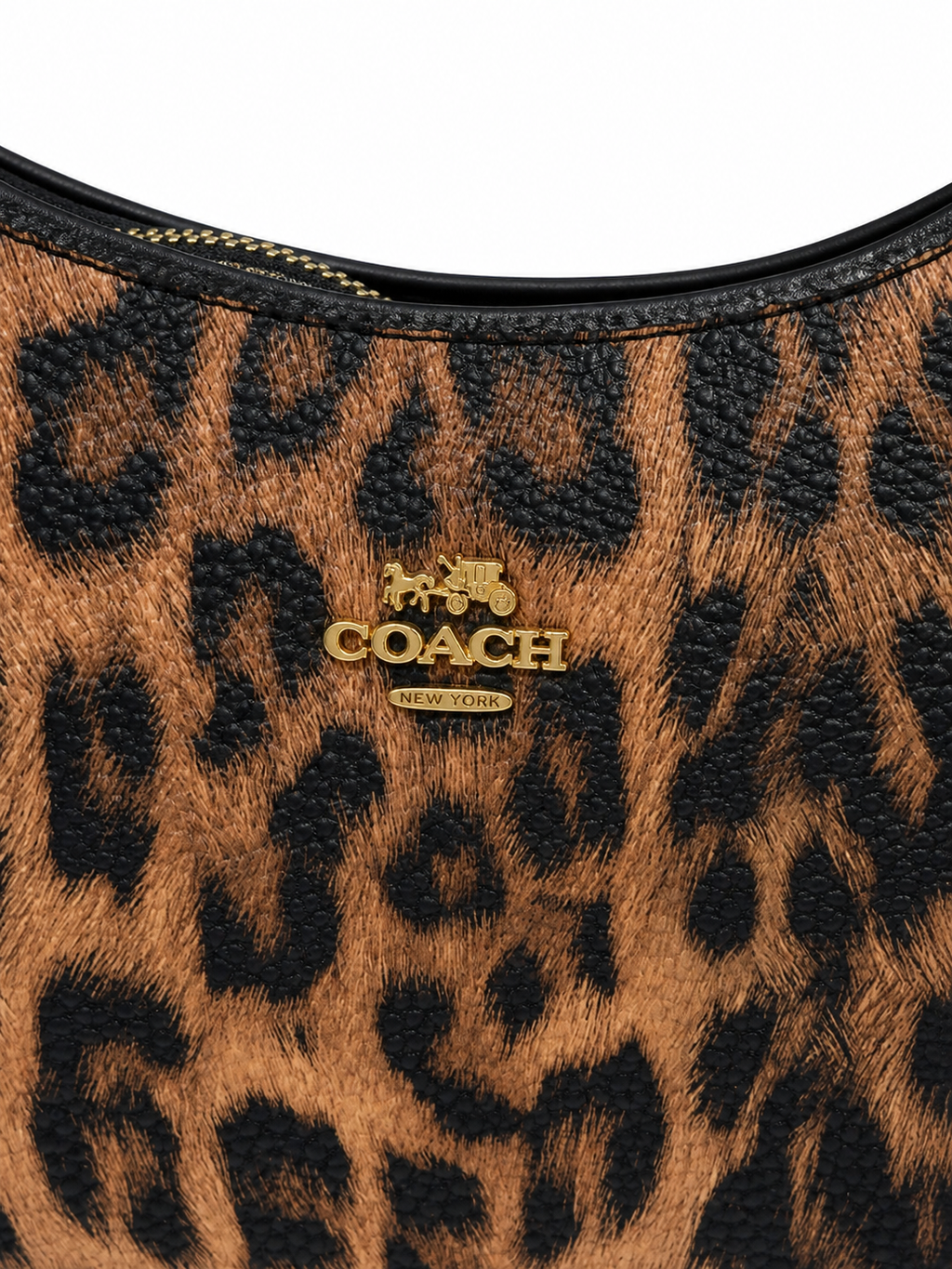 Coach Nolita 19 Shoulder Bag